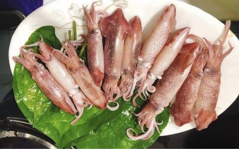 Mực nhảy Cửa Lò