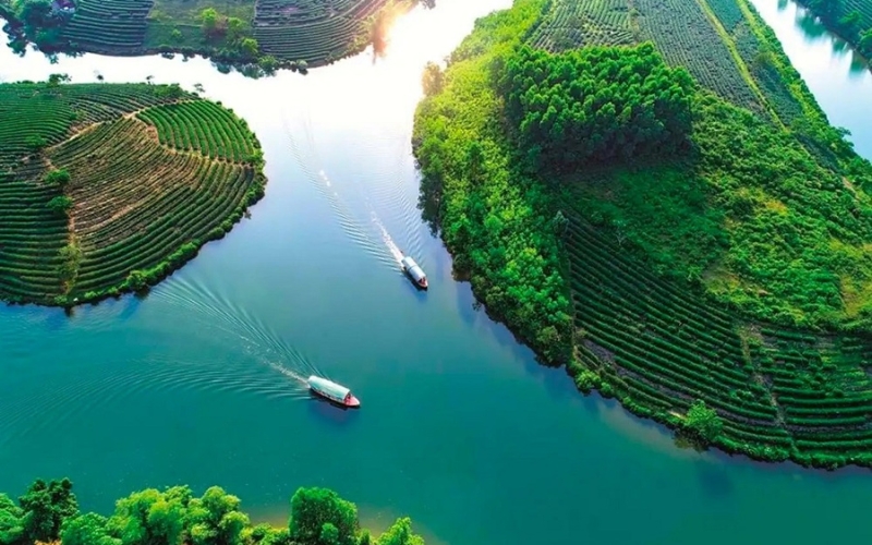Vị trí địa lý và Đặc điểm độc đáo của Đảo Chè Thanh Chương Nghệ An
