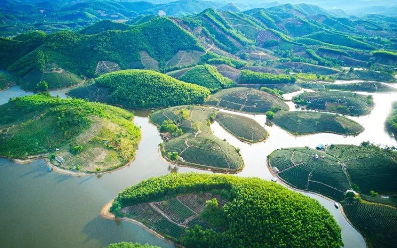 Lý do Đảo Chè Thanh Chương là điểm đến hấp dẫn