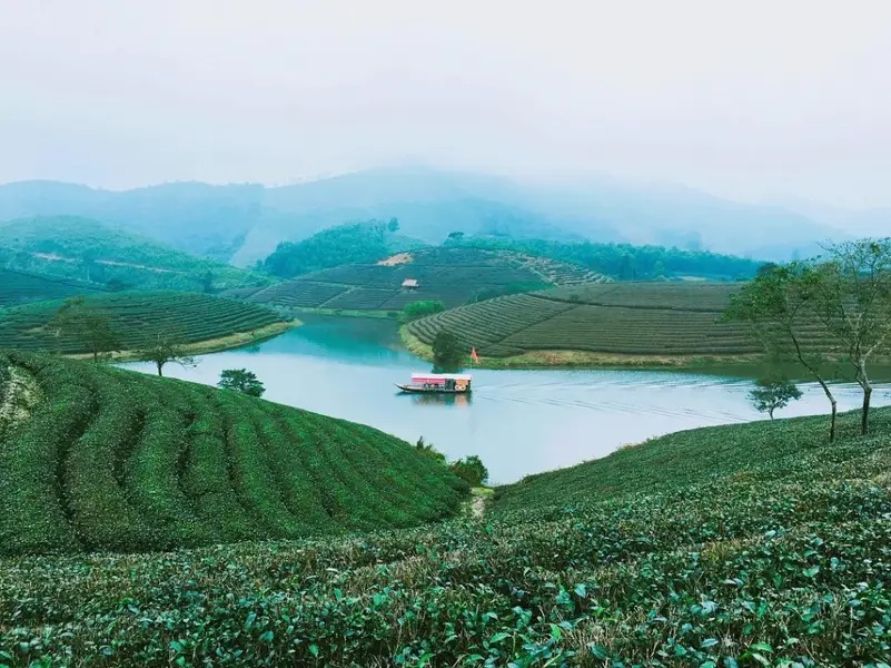 Thời điểm lý tưởng để Du Lịch Đảo Chè Thanh Chương