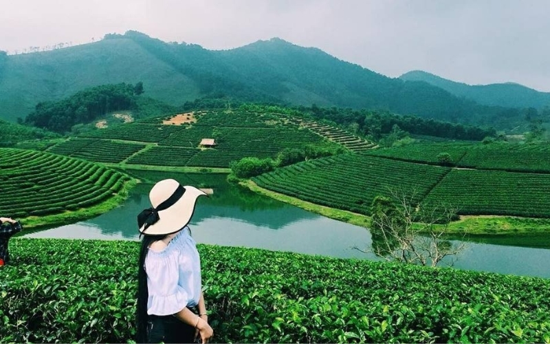 "Sống ảo cháy máy" với background đồi chè xanh mướt