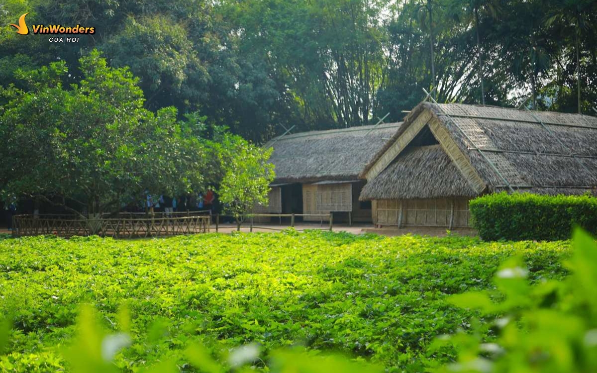 Cẩm nang du lịch Vinh Nghệ An 2025 mới nhất 2 Quê Bác - Làng Sen Kim Liên (Nam Đàn) khi du lịch Vinh Nghệ An