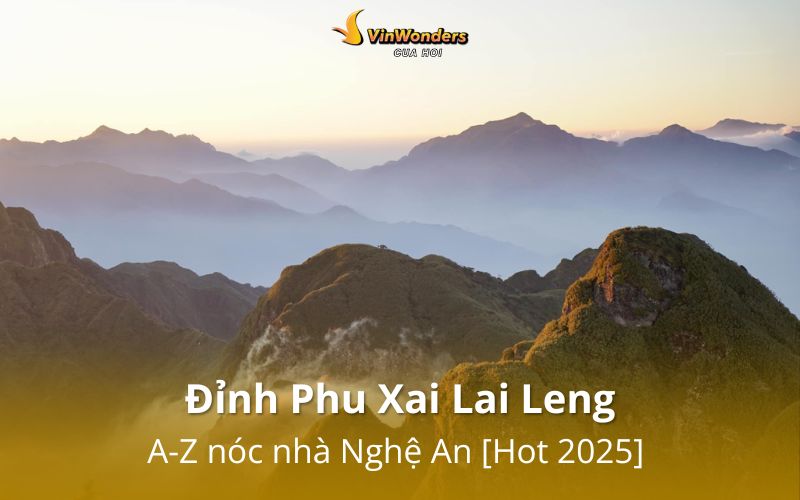 Đỉnh Phu Xai Lai Leng: A-Z nóc nhà Nghệ An [Hot 2025] 