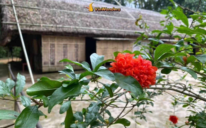 Làng Sen quê Bác: Địa chỉ & giá trị của “địa chỉ đỏ” trong tim dân Việt Nam 4 làng sen quê bác