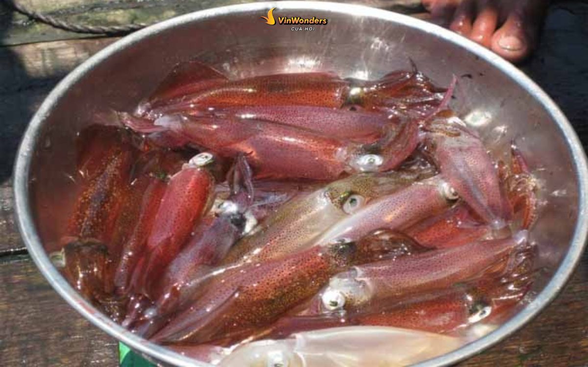 Đặc sản Cửa Lò: Top món ngon & quà biếu không thể bỏ lỡ ở xứ Nghệ 1 đặc sản cửa lò